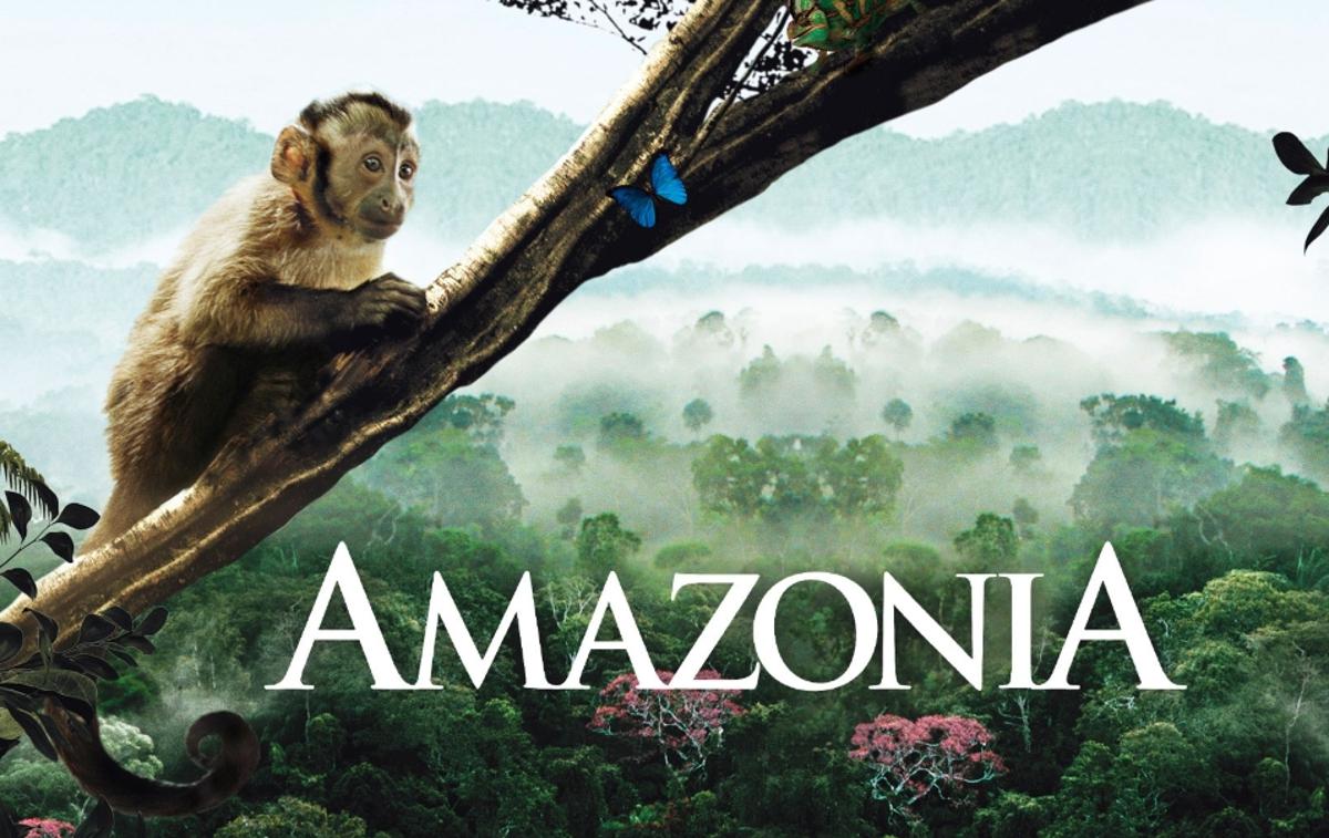 Amazonija