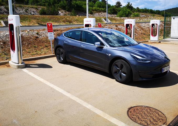 Tesle model 3 so bile letos tudi redne gostje slovenskih cest. | Foto: Gregor Pavšič