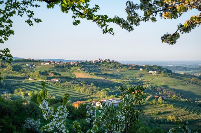 goriška brda | Foto Shutterstock