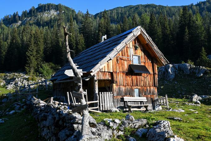 Dedno polje | Foto: Matej Podgoršek