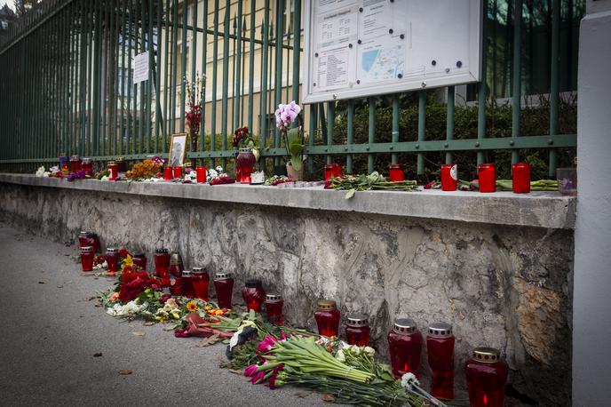 Aleksej Navalni, cvetje in sveče pred veleposlaništvom Nemčije. | Foto Bojan Puhek