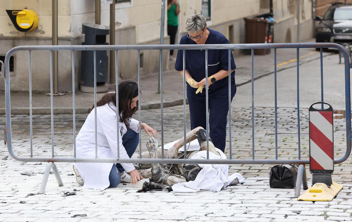 Moški zažgal na Markovem trgu, Zagreb | Moški je utrpel hude opekline.  | Foto Pixsell