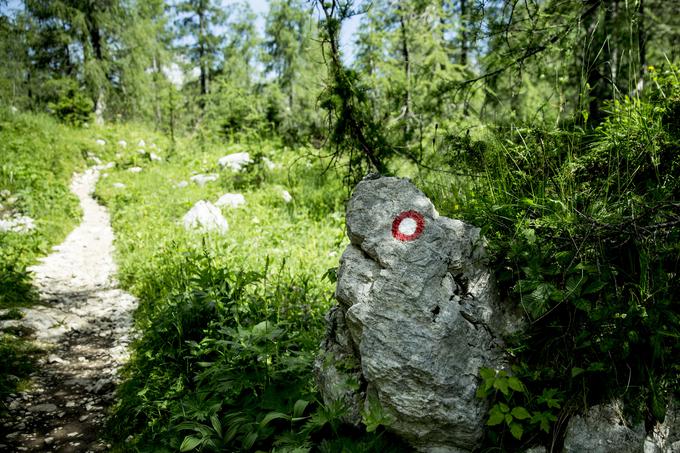 "Če na poti ne vidimo markacij, je to jasen znak, da smo zašli. Takrat je pomembno, da se vrnemo do markacije in poiščemo označeno pot." | Foto: Ana Kovač