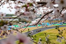 Suzuka Max Verstappen Red Bull