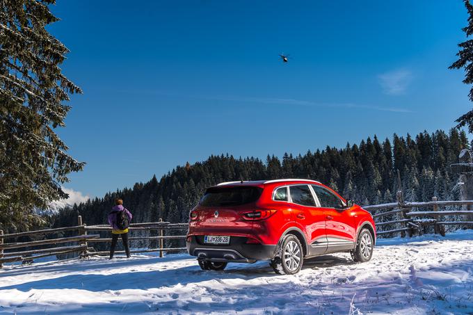 Neskončna belina in zvesti Kadjar. Sneg zanj ni nikoli težava. | Foto: Klemen Korenjak