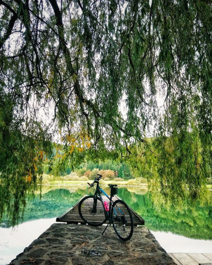 Poznate Podpeško jezero? Odkrivate ga lahko v živo na terenu ali na spletni strani www.moja jezera.si. Za ogled kliknite na fotografijo. | Foto: www.mojajezera.si