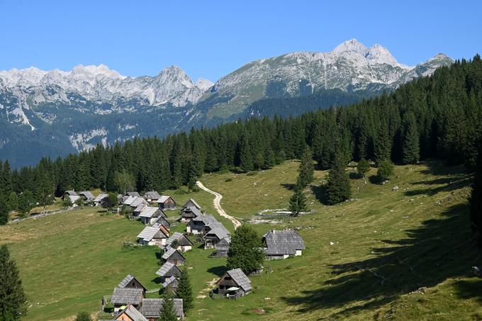 Idilična planina Zajamniki | Foto: Matej Podgoršek