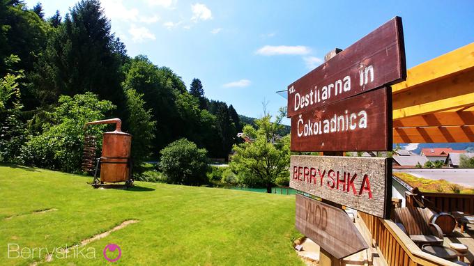 Destilarna in čokoladnica Berryshka v Obrhu pri Dolenjskih Toplicah | Foto: 