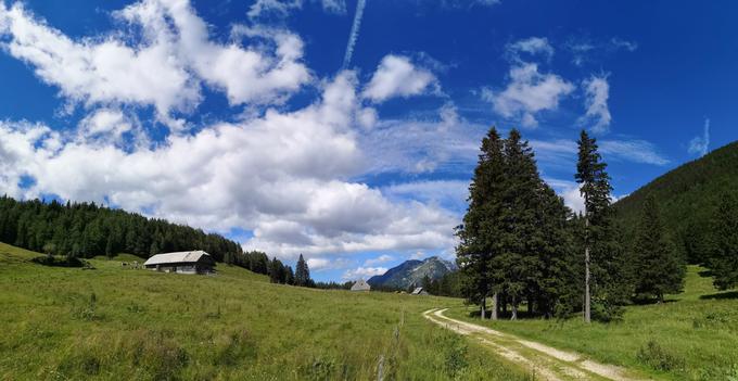 Planina Dol. | Foto: Matej Podgoršek