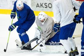 slovenska hokejska reprezentanca