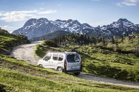 Rifter, Velika planina