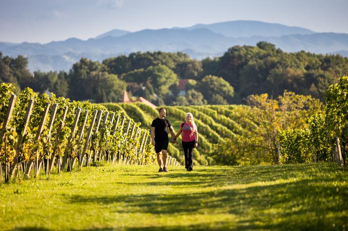 pohodniška pot Mestni vrh | Foto Boštjan Selinšek/visitptuj.eu