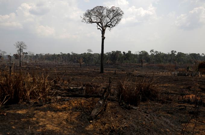 Amazonija | Foto: Reuters