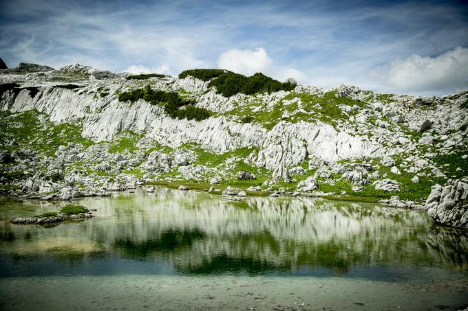 Pot na Zasavsko kočo na Prehodavcih (Prehodavci) | Foto: Ana Kovač