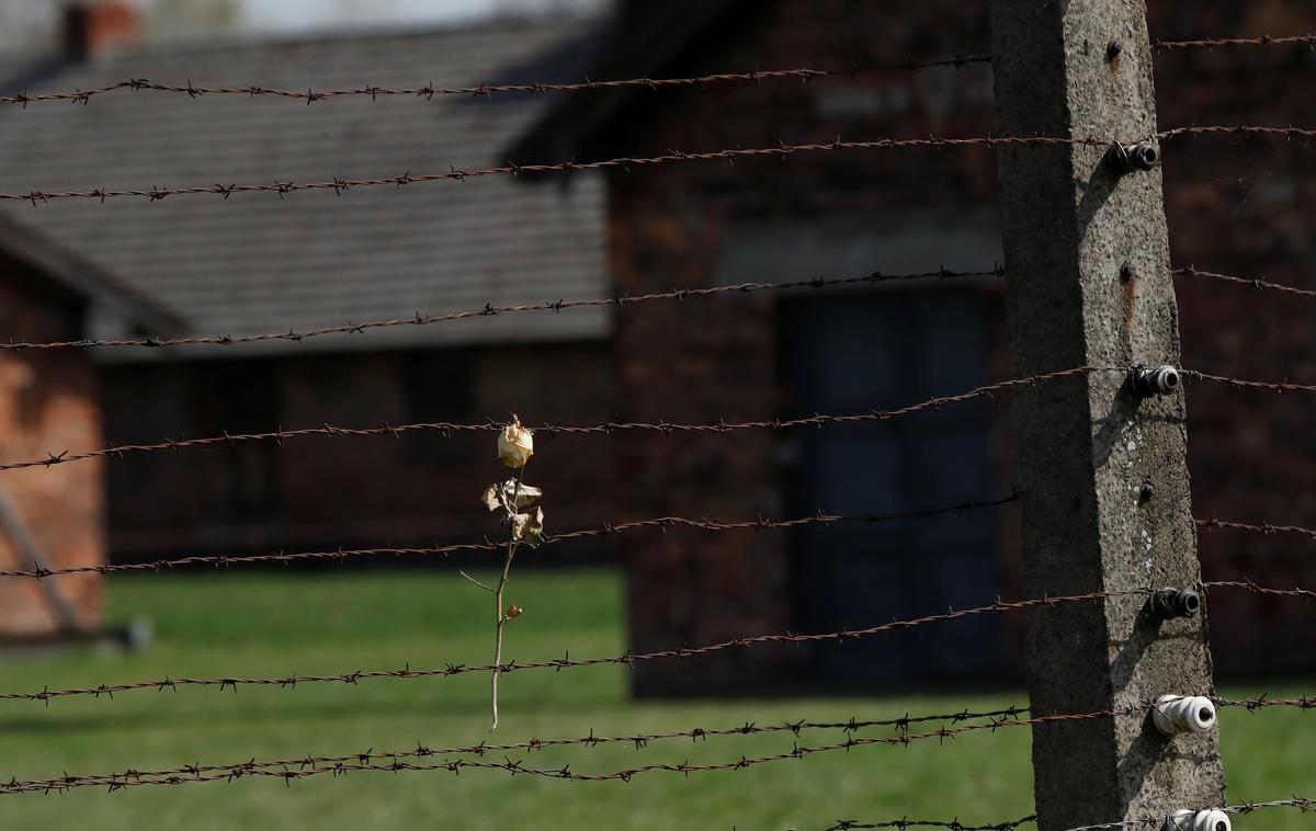 Koncentracijsko taborišče v Auschwitzu. | Po novejših ocenah so med drugo svetovno vojno med letoma 1939 in 1945 nacisti usmrtili okoli pol milijona Romov, nekateri menijo, da celo milijon in pol. Romi so bili kot etnična skupina za Judi tako druga največja žrtev nacističnega režima. | Foto Reuters