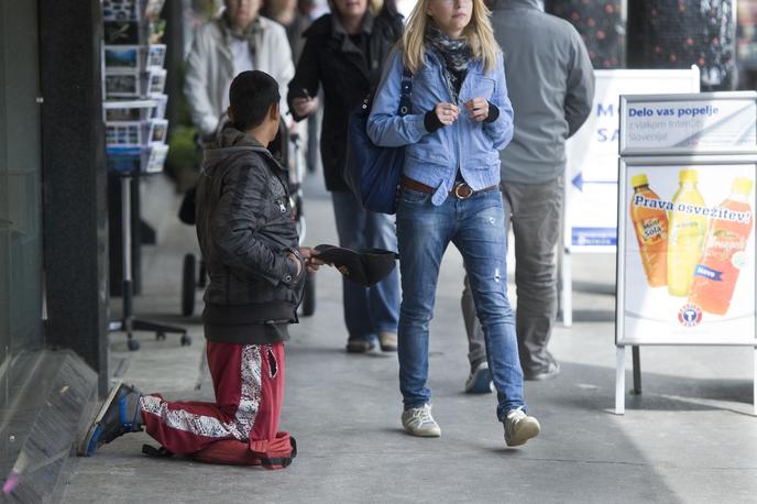 Berač | Foto Bor Slana