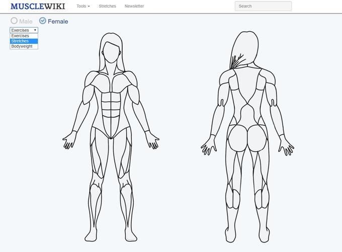 Muscle Wiki | Foto: Matic Tomšič / Posnetek zaslona