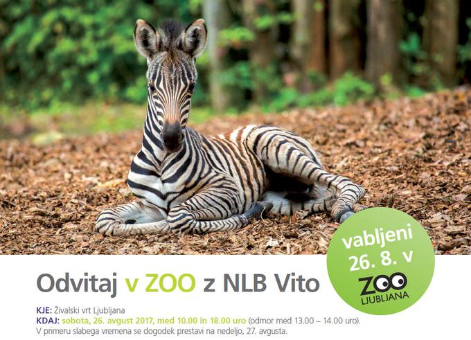 Odvitaj v ZOO z NLB Vito | Foto: 