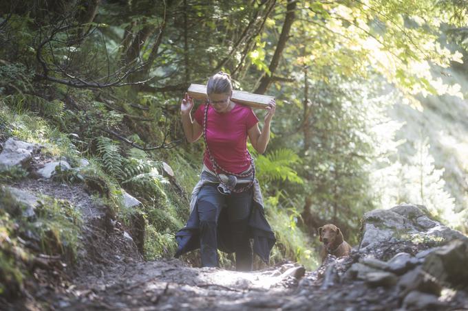 Tabla ob poti obiskovalce poziva, da do koče prinesejo poleno, ki bo ogrevalo krušno peč. Marsikdo prošnjo tudi upošteva. | Foto: Bojan Puhek