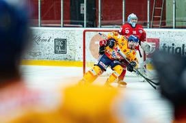 HDD Jesenice Asiago 4. finalna tekma Alpska liga