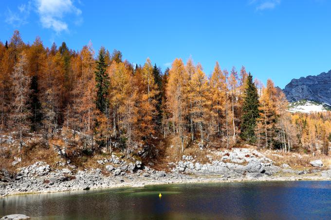 Ob Dvojnem jezeru | Foto: Matej Podgoršek