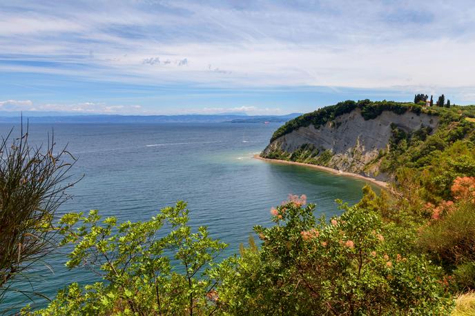 Strunjan | Policija je ugotovila identiteto moškega, ki so ga našli na plaži v Strunjanu. | Foto Guliverimage