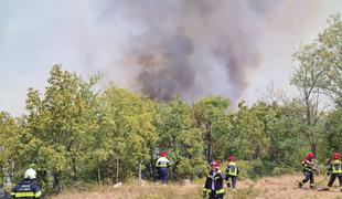 Na goriškem Krasu posadili 3.100 avtohtonih sadik