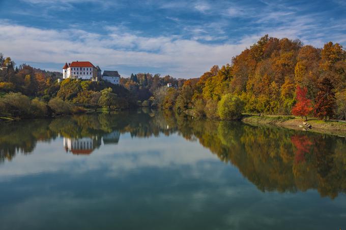 Kupa.  | Foto: Zoran Jelača