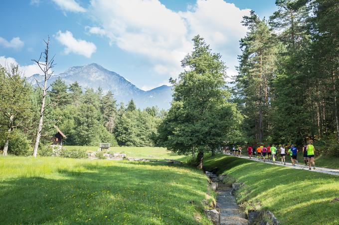 Triglav tek | Foto: Zavarovalnica Triglav