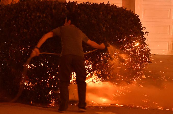 Požar ZDA | Foto: Reuters