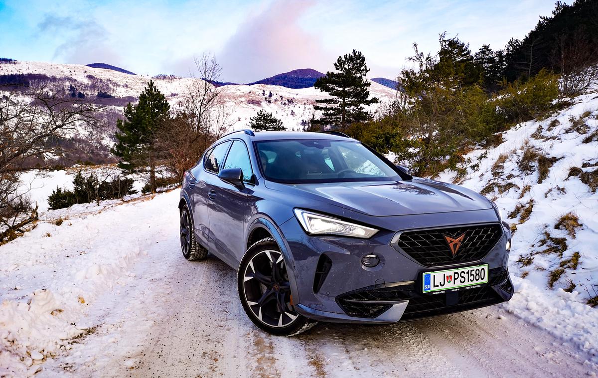 Cupra formentor | Foto Gregor Pavšič