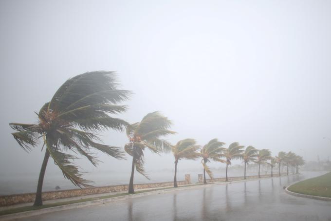 Na svetovni lestvici letos najbolj iskanih pojmov prek iskalnika Google je na prvem mestu orkan Irma. | Foto: Reuters