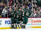 Minnesota Wild