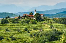 Ščurek strune bele in številka 5