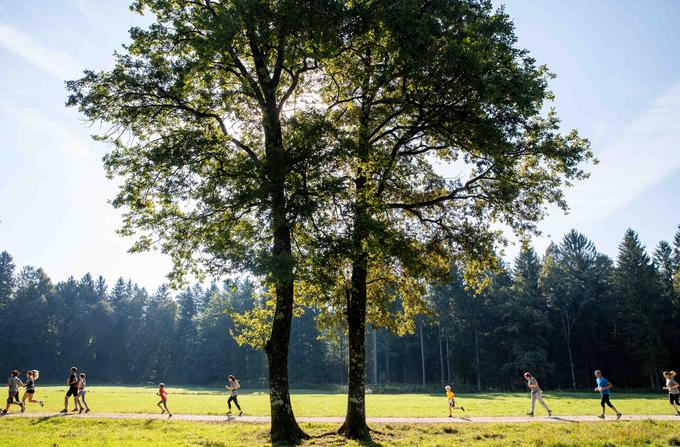 Triglav tek je po letu premora znova prevetril Brdo pri Kranju. | Foto: Sportida