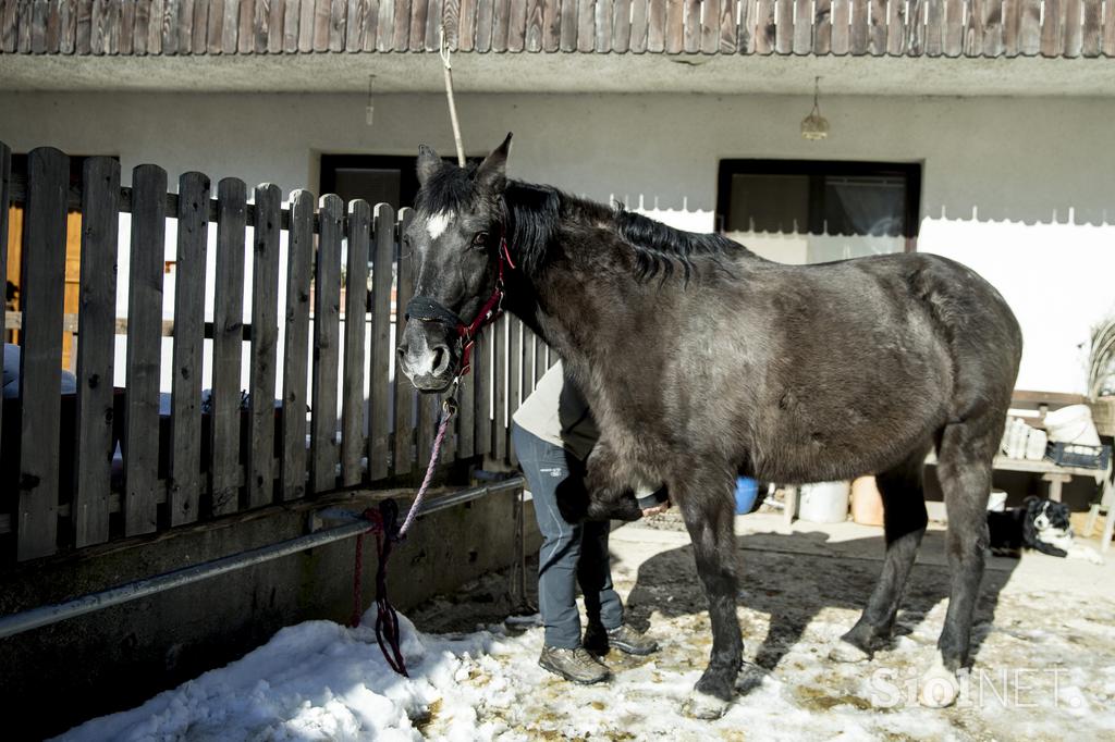 Kmetija Smolej Miha Planina pod Golico