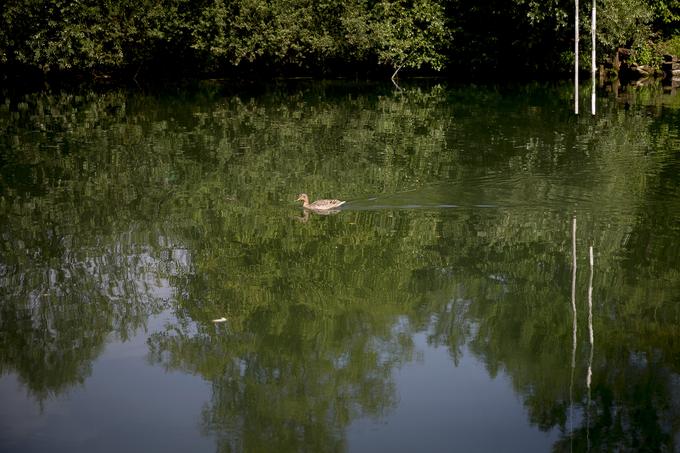 Livada | Foto: Ana Kovač