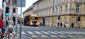 prevoz smreke v Ljubljani