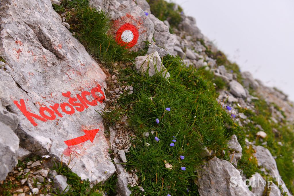 Pot s Kamniškega sedla do Brane in Planjave