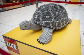 Lego festival