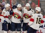 Florida Panthers