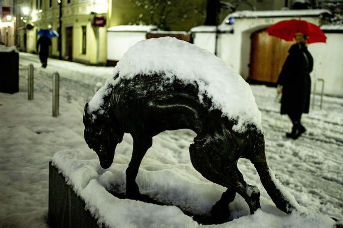 sneg v Ljubljani | Popoldne bo v notranjosti države še občasno snežilo. | Foto Ana Kovač