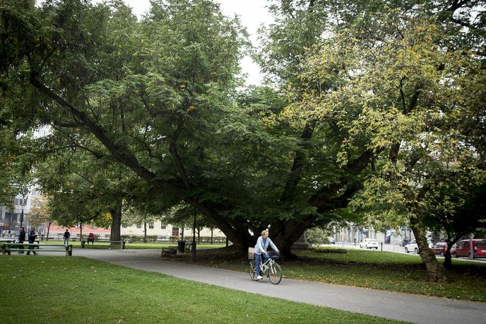 Miklošičev park | Foto Ana Kovač