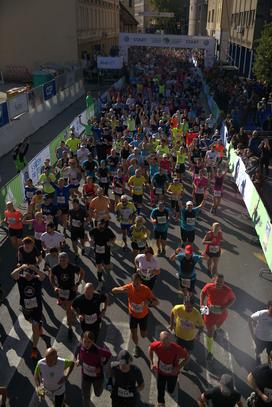 24. Ljubljanskega maraton