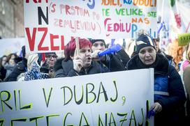 protest stavka Ljubljana Sviz