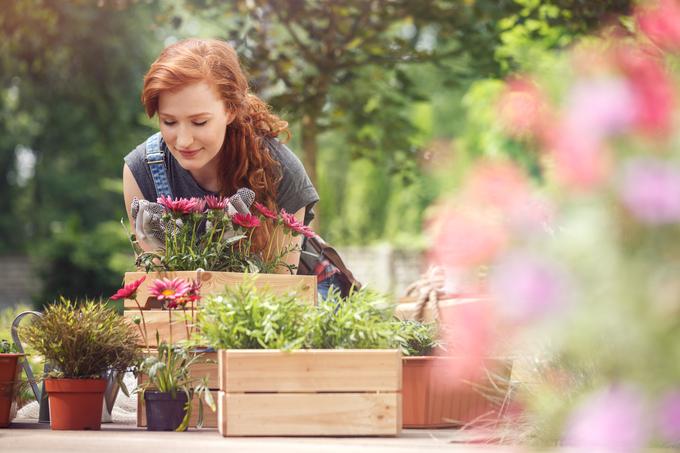 S sajenjem vrtnin lahko še malce počakamo. | Foto: Thinkstock