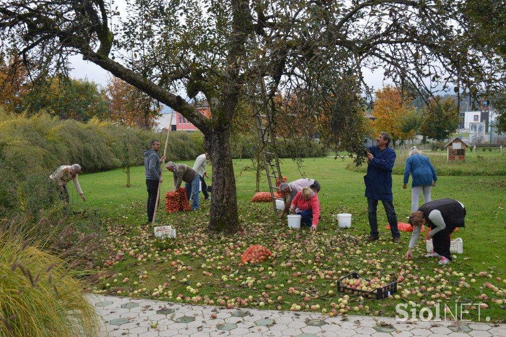 Dom Hmelina Silva Duler Radlje ob Dravi starejši demenca