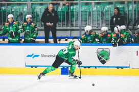 ICEHL: HK SŽ Olimpija - Fehervar AV