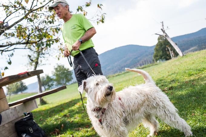 Z veleposlanikom se je povzpela tudi na Veliki vrh in Stol, najvišji vrh Karavank, sicer pa so ji ljubši lažje dostopni tereni.  | Foto: Klemen Korenjak