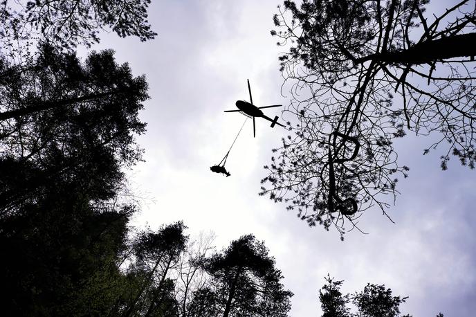 Bik | Mladi bik tehta okoli 400 kilogramov. Iz tolmuna so ga potegnili s helikopterjem.  | Foto Gorska reševalna zveza Slovenije